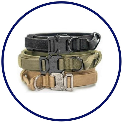Tactical Collar and Leash