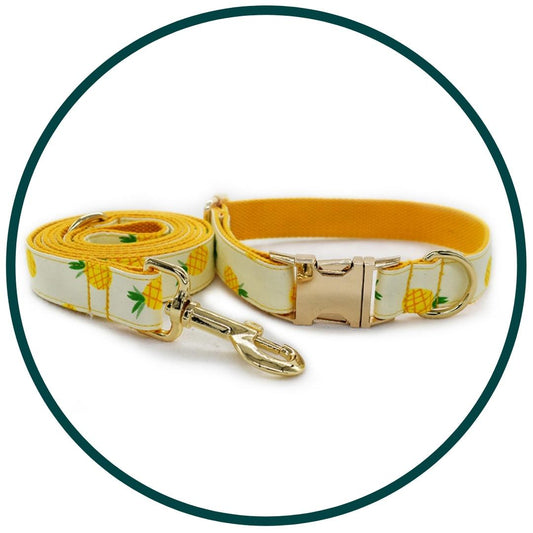 Ananas Halsband en Lijn