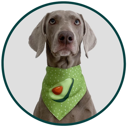 Avocado Sjaal
