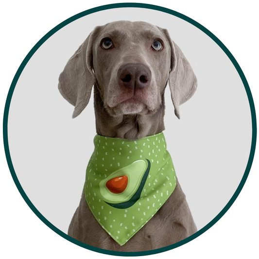 Avocado Sjaal