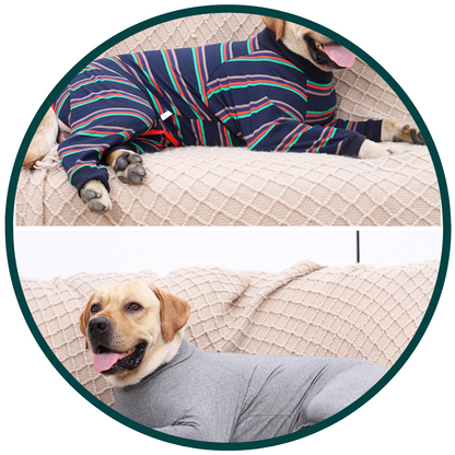 Hondenpyjama's