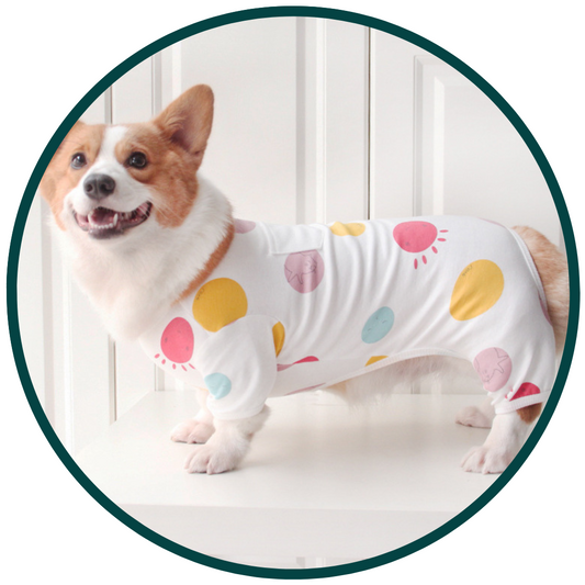 Gezellige huisdierpyjama's