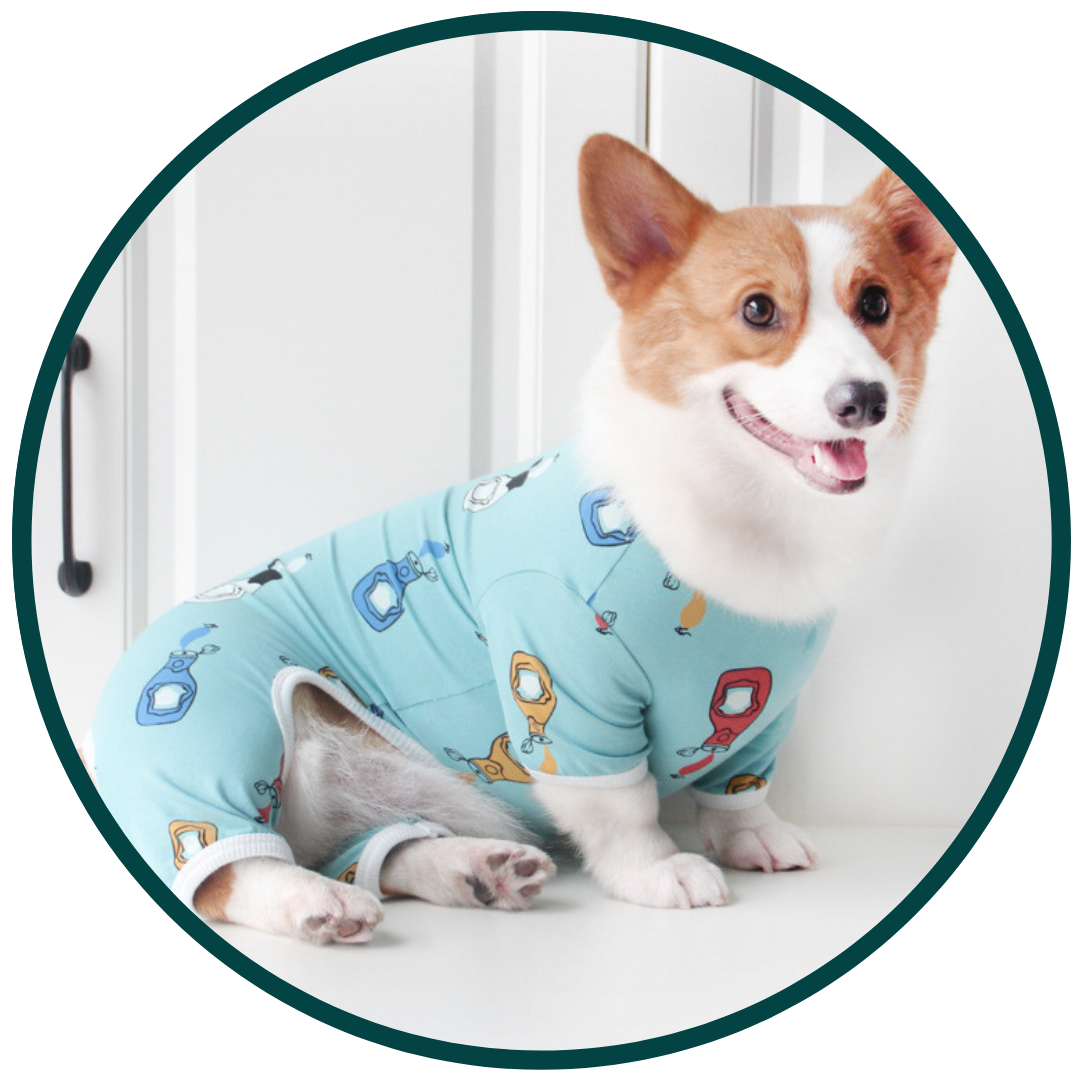 Gezellige huisdierpyjama's