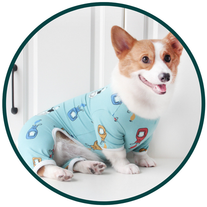 Gezellige huisdierpyjama's