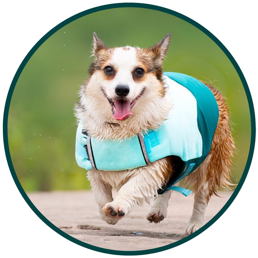 Bouboo All-Season Huisdier Zwemkleding