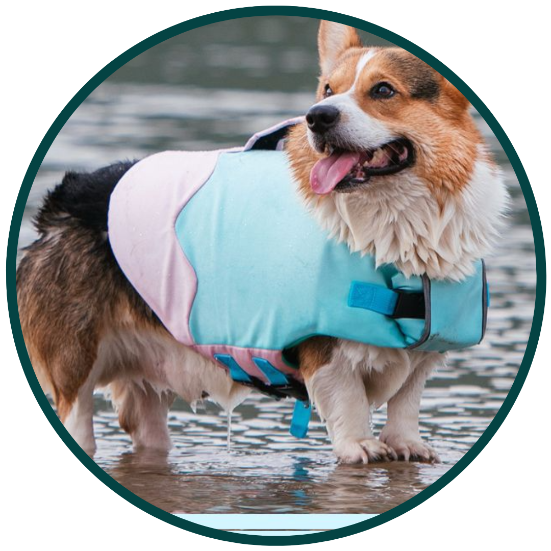 Bouboo All-Season Huisdier Zwemkleding