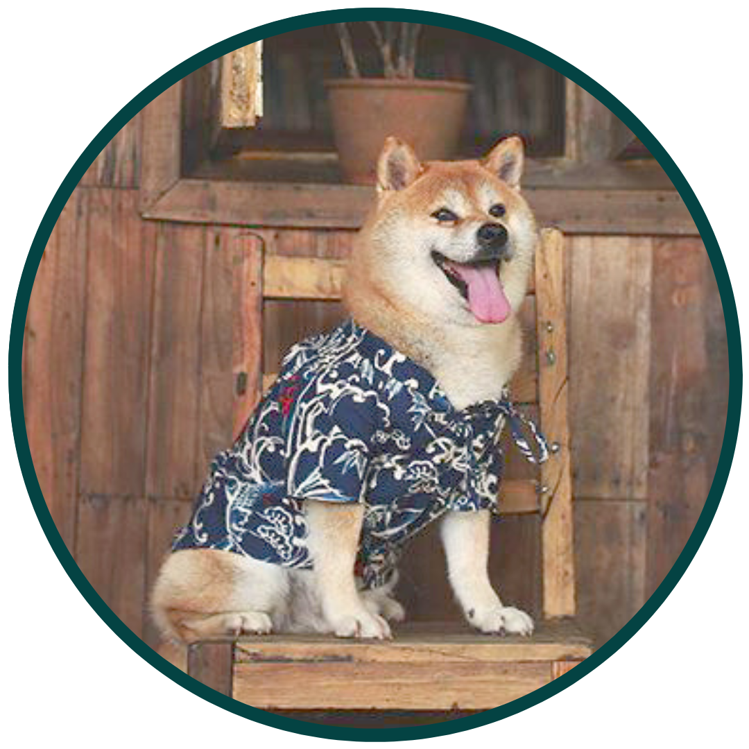 Bouboo kimono huisdierkleding