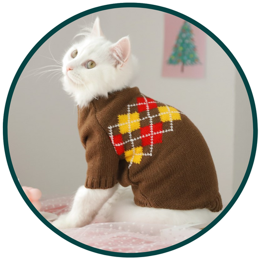 Fall Sweater