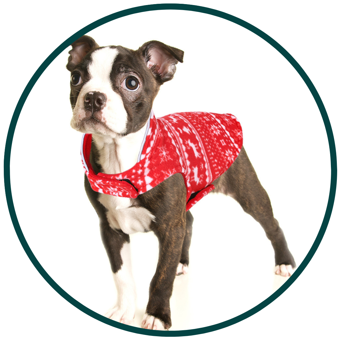 Festive Pullover