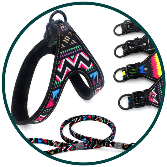 Geleideharnas en riem met patroon