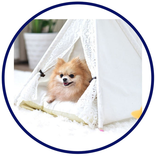 Designer wit huisdier teepee
