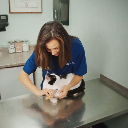 Beste honden nagelknipper met snelle sensoren