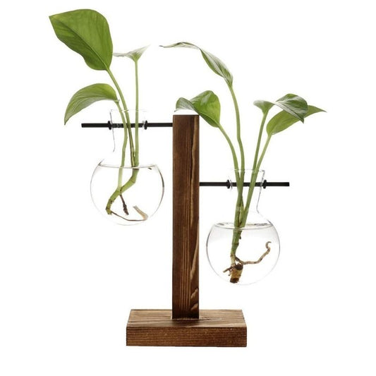 Wooden Frame Hydroponic Plant Vase