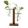 Wooden Frame Hydroponic Plant Vase