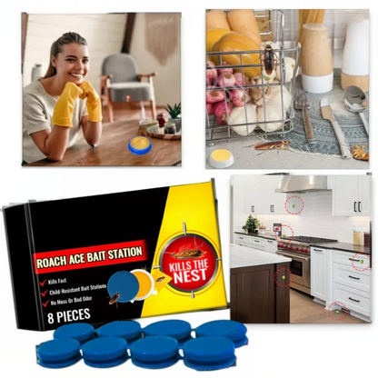 Geurloze kakkerlakvallen