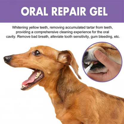 3 Set Dog Oral Repair Gel