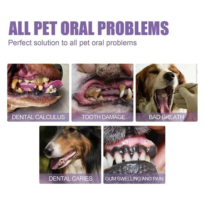 3 Set Dog Oral Repair Gel