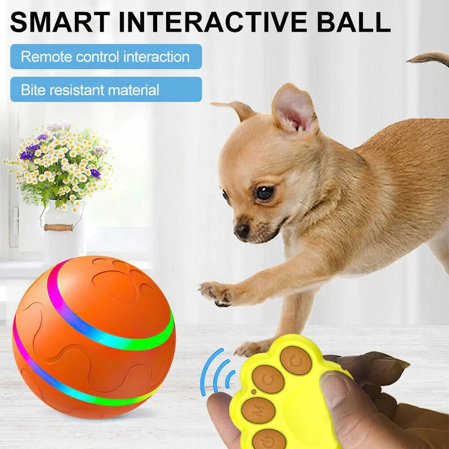 Interactief hond- en kattenspeelbal speelgoed