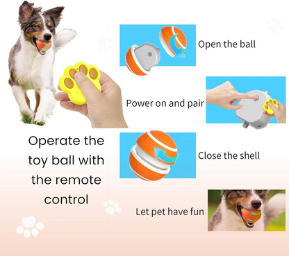 Interactief hond- en kattenspeelbal speelgoed
