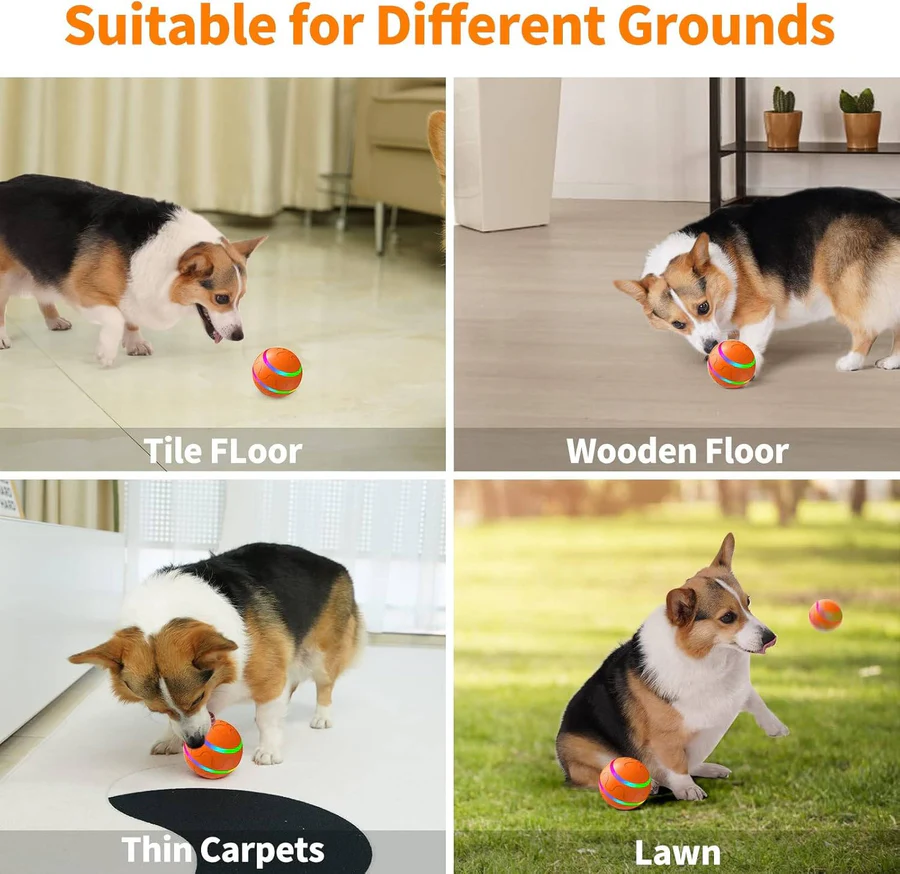 Interactief hond- en kattenspeelbal speelgoed