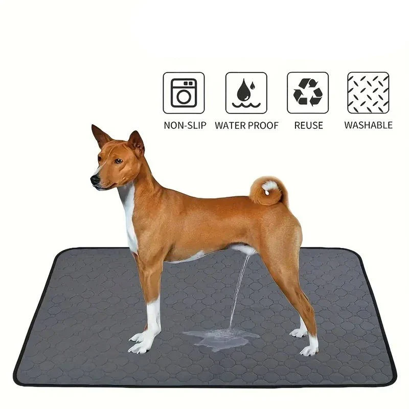 Dog Pee Pads Disposable and Reusable