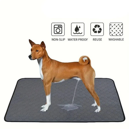 Dog Pee Pads Disposable and Reusable