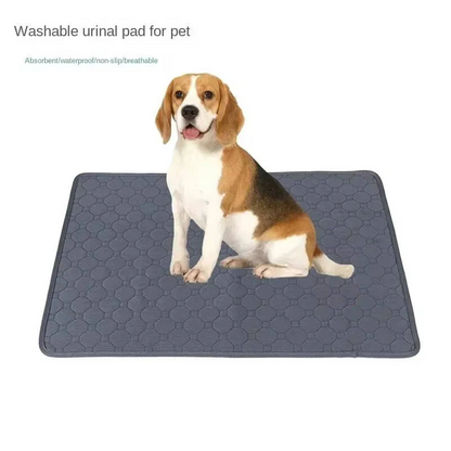 Dog Pee Pads Disposable and Reusable