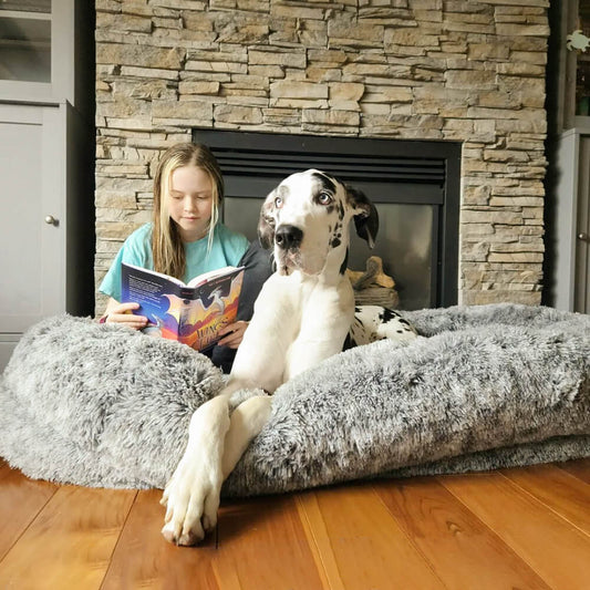 Luxe Super Groot Dieper Slapen Ovaal Bed Mens Hond Bed