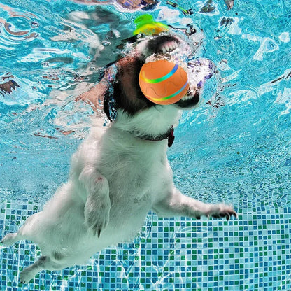 Interactief hond- en kattenspeelbal speelgoed