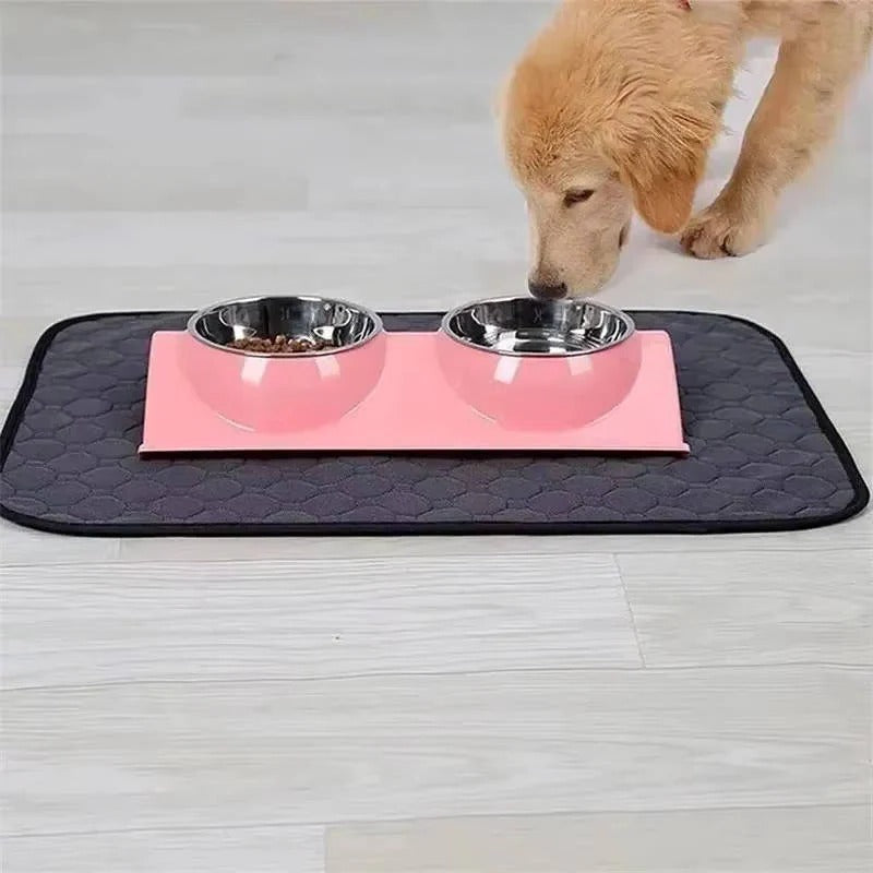 Dog Pee Pads Disposable and Reusable