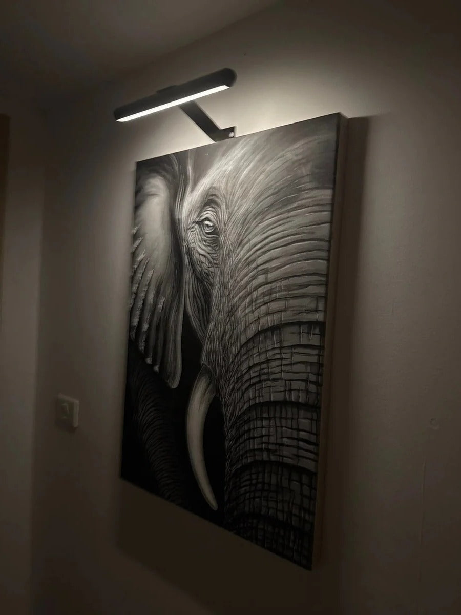 Draadloze Oplaadbare LED Wandlamp voor Kunstwerken en Decoratie