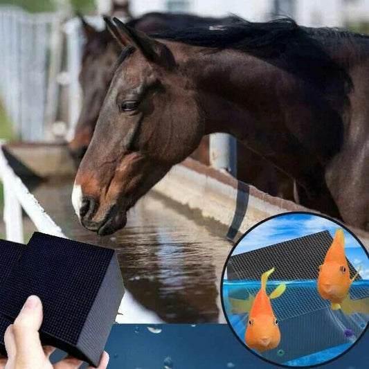 Bio Cube für Vieh & Aquarium – Umweltfreundlicher Wasserreiniger für sauberes & klares Wasser