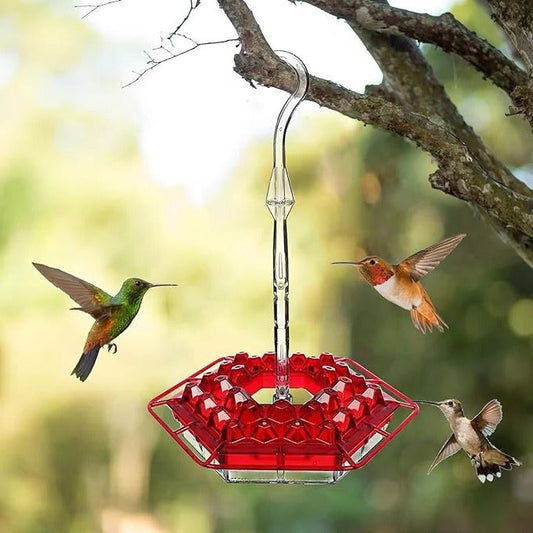 Hanging Hummingbird Feeder Leak Proof Design with Ant Protection & Perch