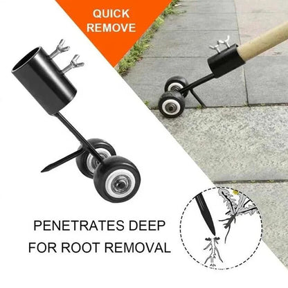 Adjustable Weed Removal for Driveway and Patio Crevices