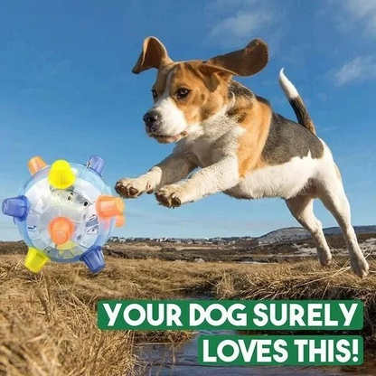 Nieuwe springactivatiebal voor honden