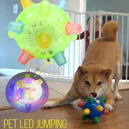 Nieuwe springactivatiebal voor honden