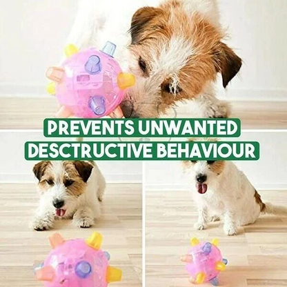 Nieuwe springactivatiebal voor honden