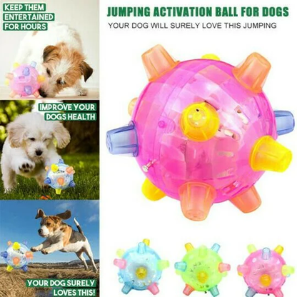 Nieuwe springactivatiebal voor honden