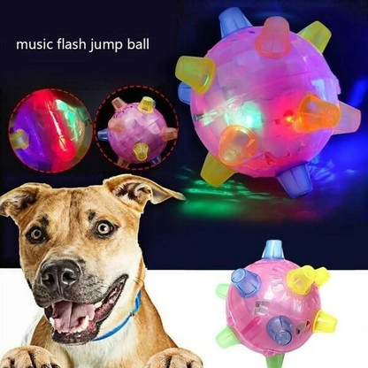 Nieuwe springactivatiebal voor honden