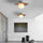 Minimalistische kom LED plafondlamp opbouwverlichting kroonluchter