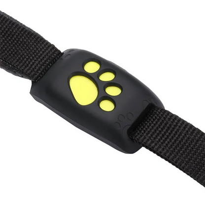 Intelligentes GPS-Tracker-Halsband für Katzen