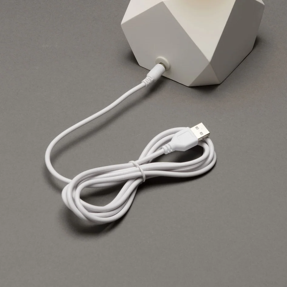 Wooden Cordless Table Lamp