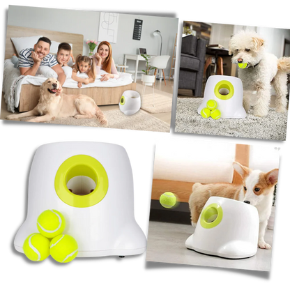 Automatische hondenbalwerper