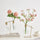 Aesthetic Lightbulb Propagation Vase